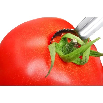 CanCan Cuillère évide-tomates CanCan Cuillère évide-tomates