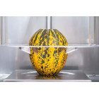 CanCan 1309 Coupe-melon pneumatique en quartiers
